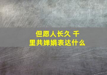 但愿人长久 千里共婵娟表达什么